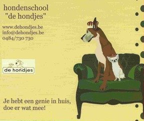 Basis gehoorzaamheid Asse, Vlaams-Brabant